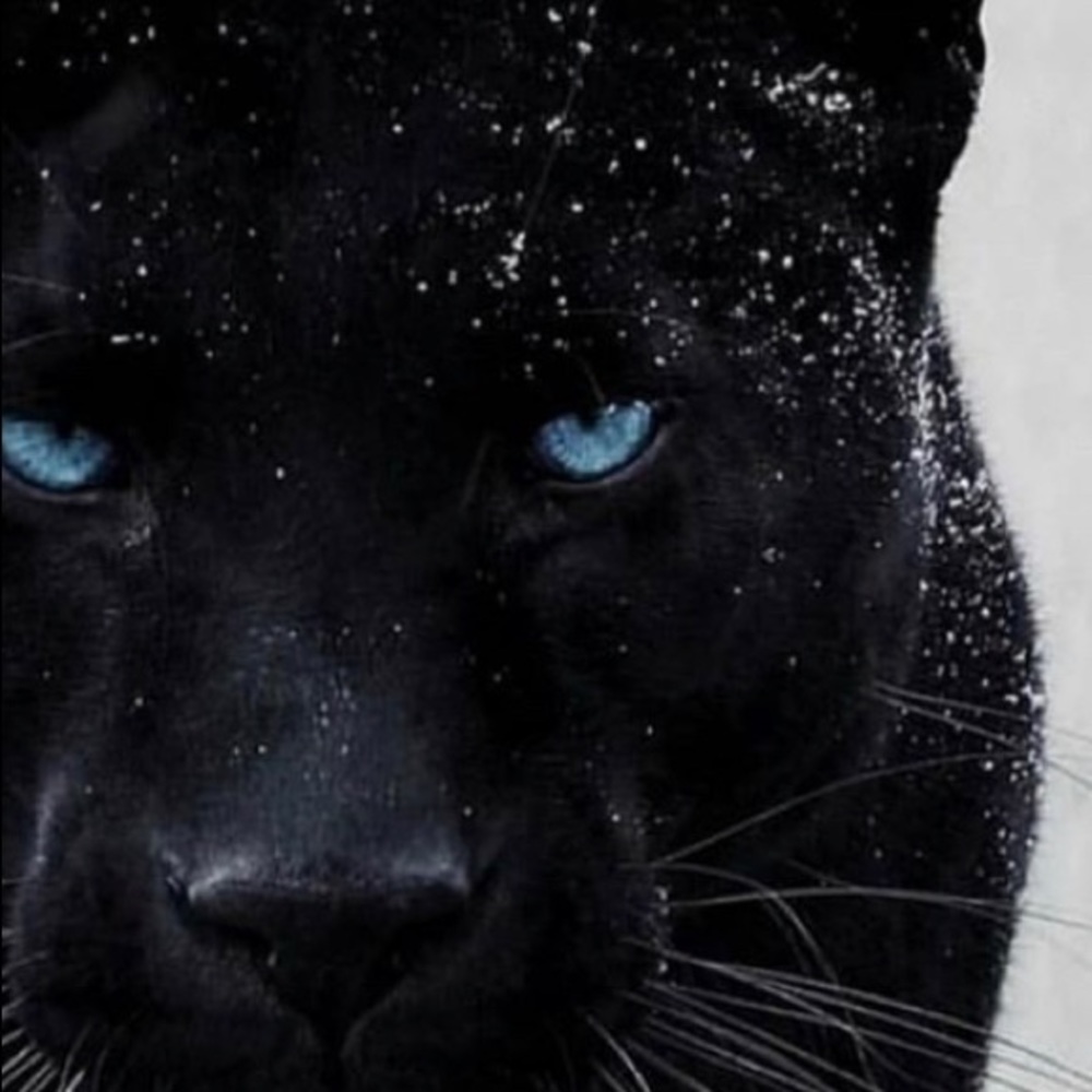 Meet your Posher, Ruben